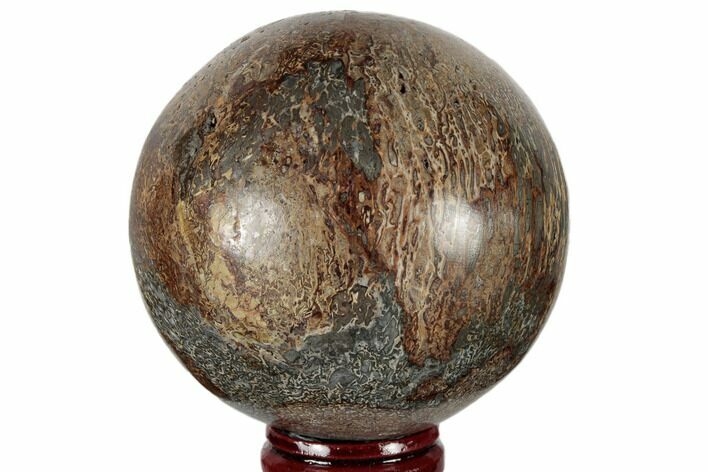 Polished Agatized Dinosaur (Gembone) Sphere - Morocco #189820